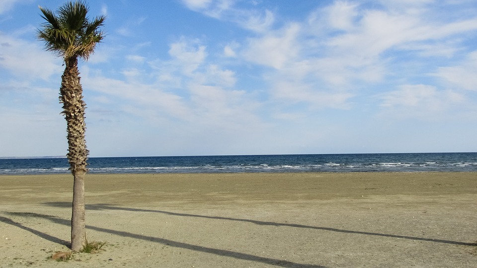 Larnaca_palm_beach