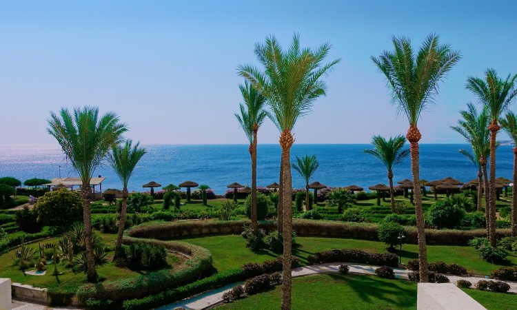 larnaca_hotels
