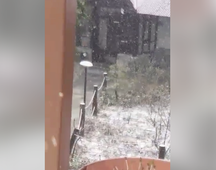 Videos emerge of epic snowstorm occurring in Troodos mountains! (VIDEO)