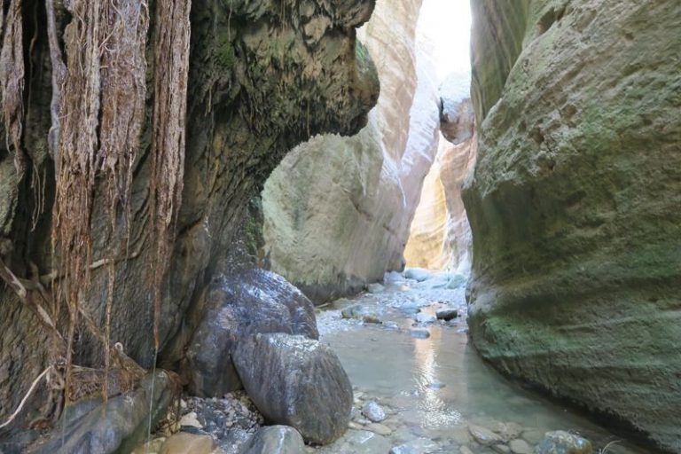Avakas Gorge: A natural masterpiece hidden in Akamas!