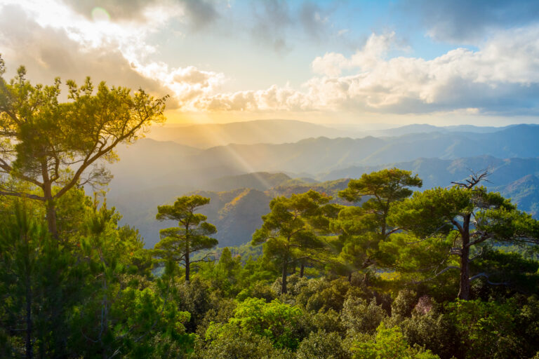 Cyprus; a nature lover’s paradise.