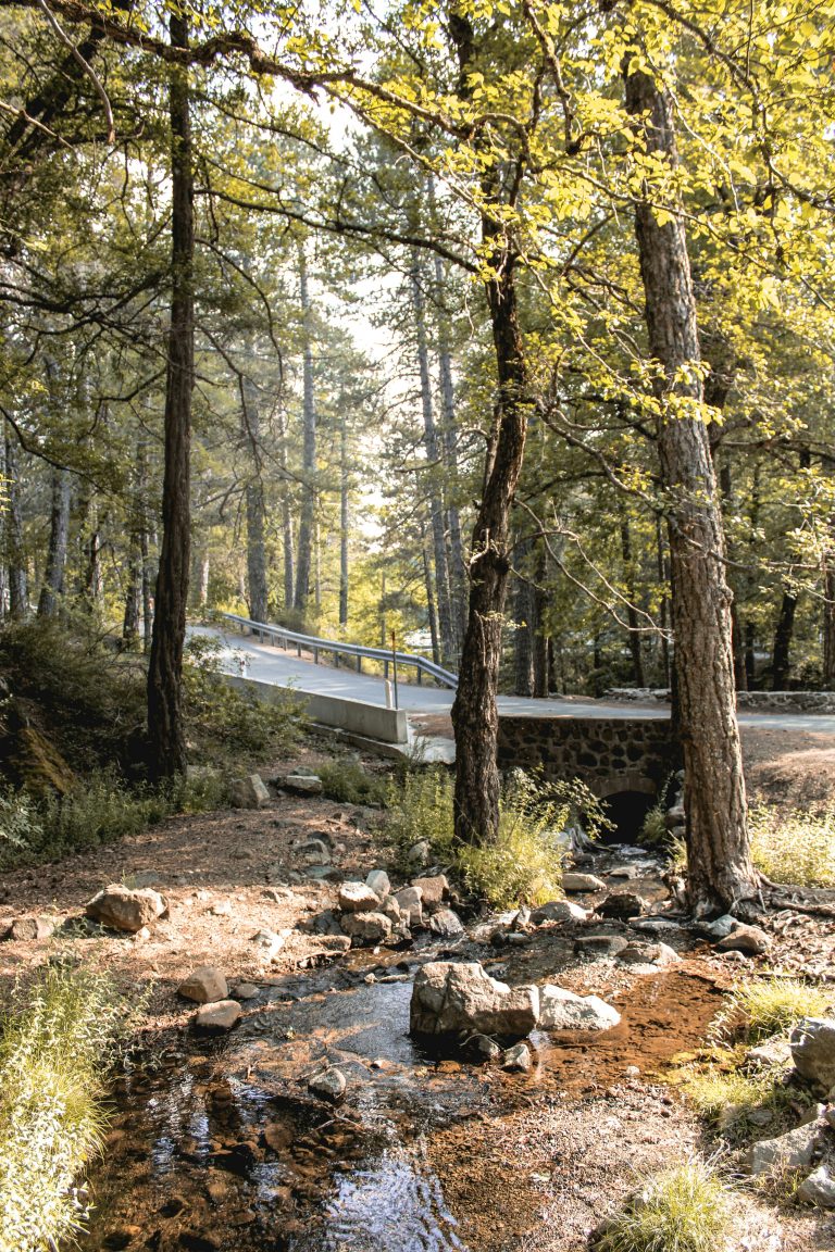 Troodos Mountains: A Different Side of Cyprus