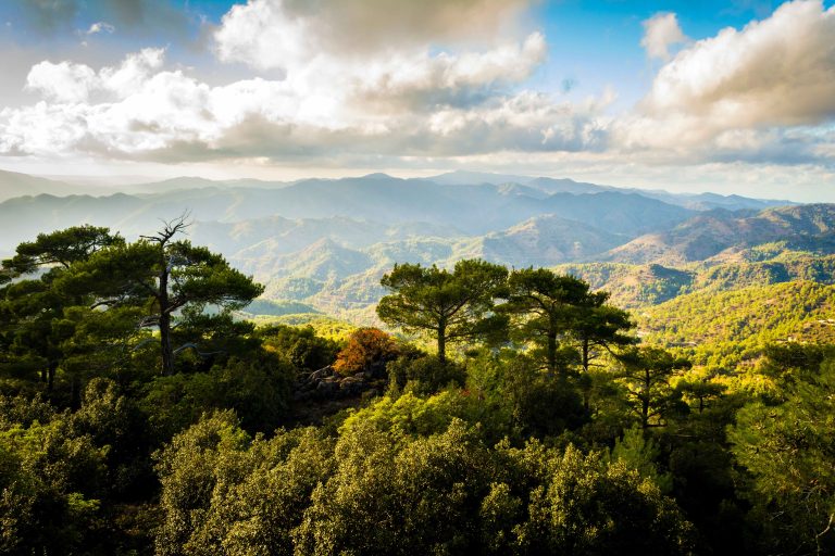 What Makes Cyprus Different From Other Mediterranean Destinations?
