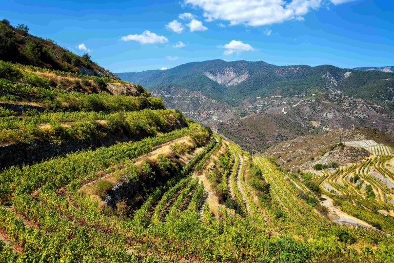 Commandaria: The Story Behind Cyprus’ Famous Sweet Wine